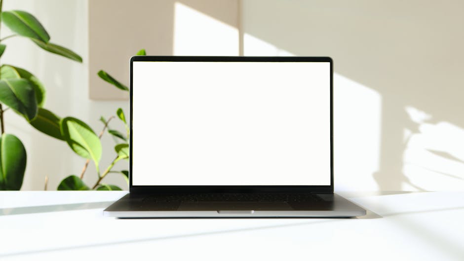 A modern workspace with a laptop and greenery in soft lighting.