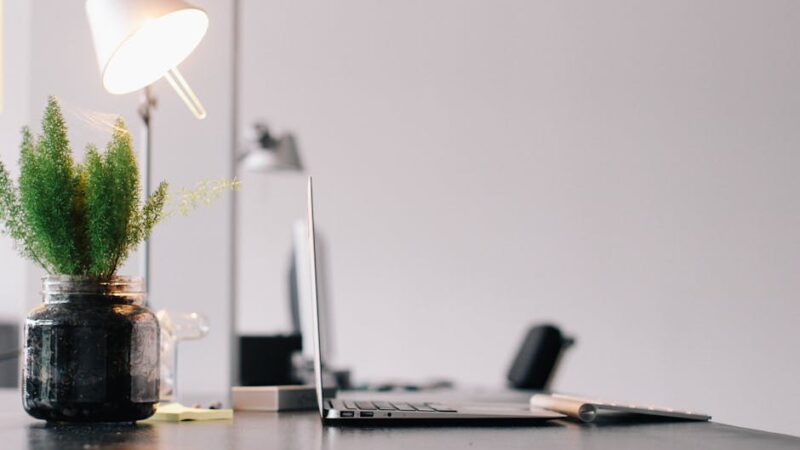 A bright and modern workspace with a laptop and plants on a desk.
