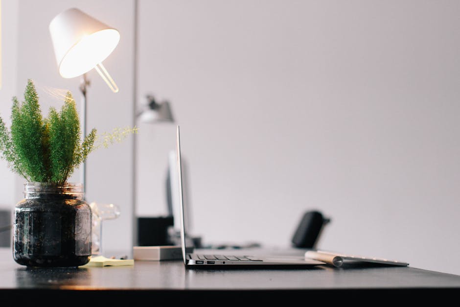 A bright and modern workspace with a laptop and plants on a desk.