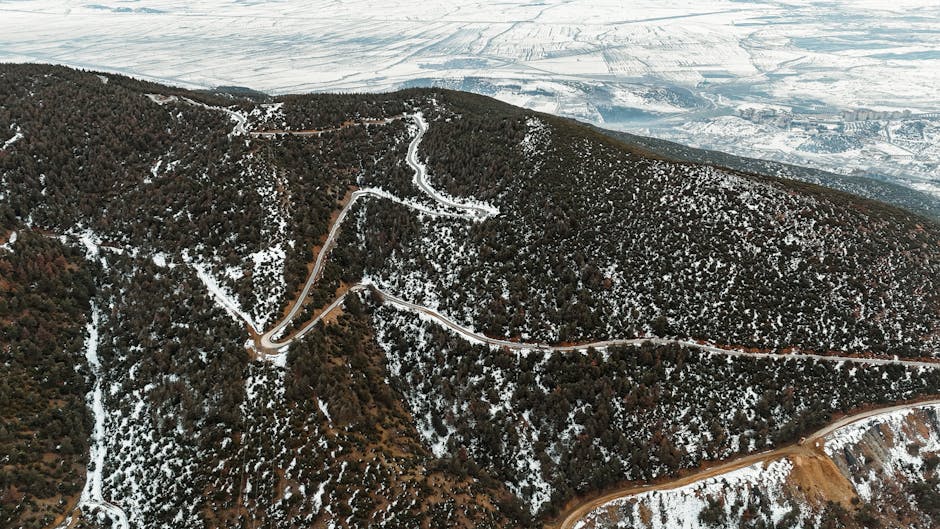A snowy mountain landscape with a winding trail and trees.