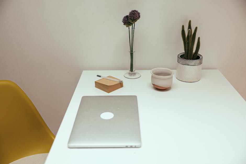 Student desk with laptop, cactus plant, books, and study supplies