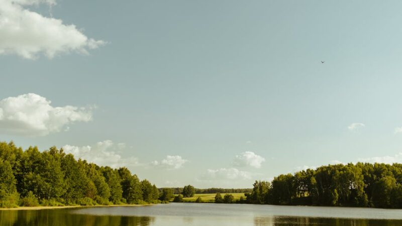 A tranquil lake surrounded by greenery under a soft cloud sky.
