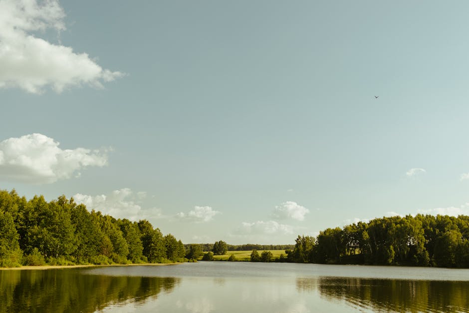A tranquil lake surrounded by greenery under a soft cloud sky.
