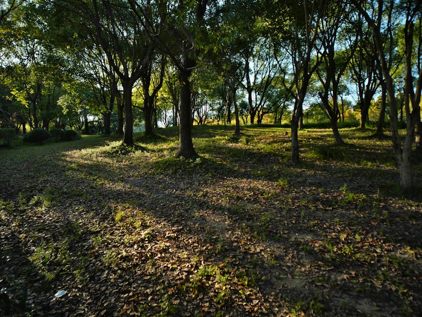 A tranquil park scene with soft sunlight and blurred figures enjoying nature.