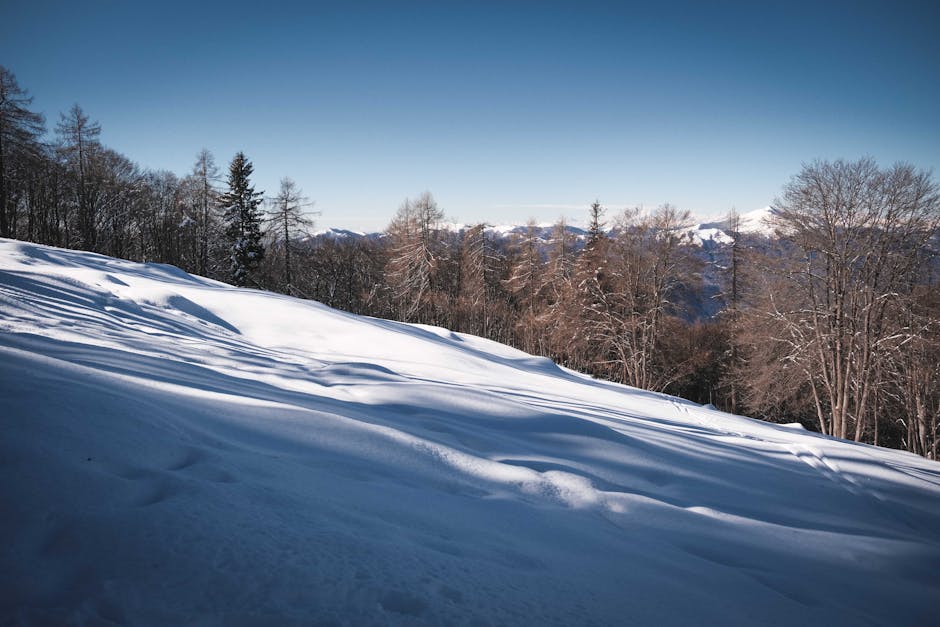 Snow-covered hills and pine trees under a clear blue sky