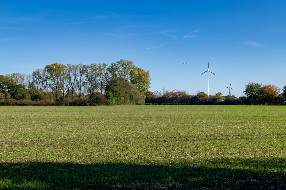 Lush green field with wind turbines under a bright blue sky