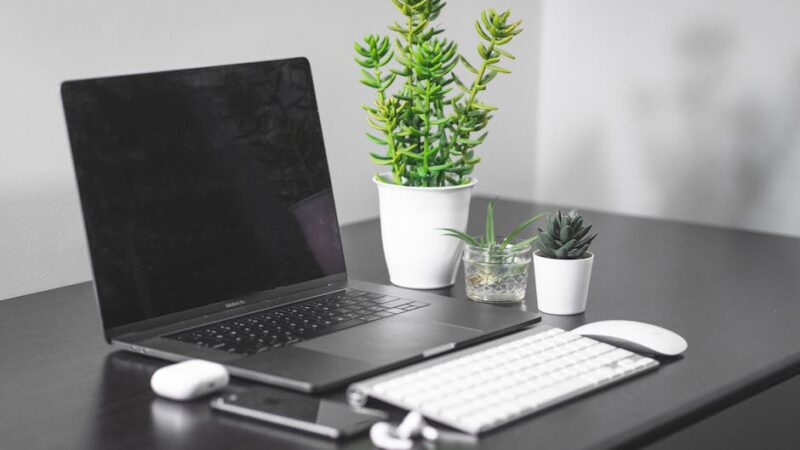 A bright workspace featuring a laptop and decorative plant.