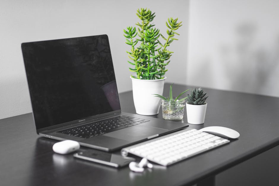 A bright workspace featuring a laptop and decorative plant.