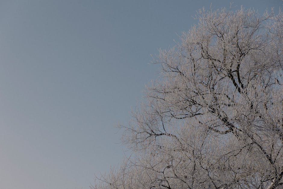A tranquil winter scene with ice-covered branches and falling snowflakes.