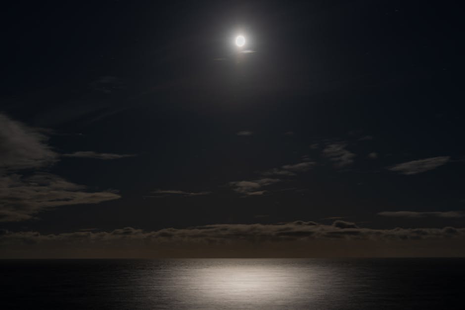 A tranquil night sky with a glowing full moon over calm water.