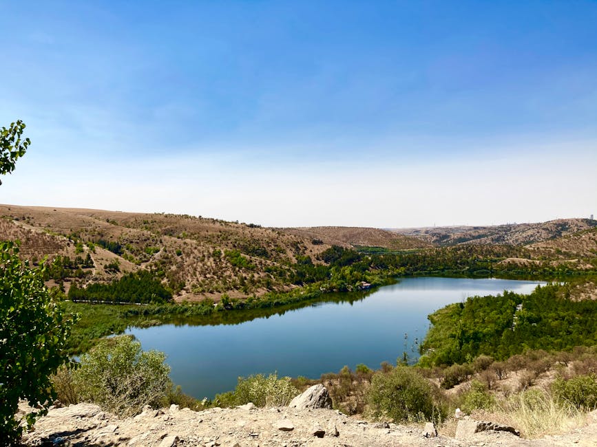 A tranquil lake with green hills and a clear blue sky