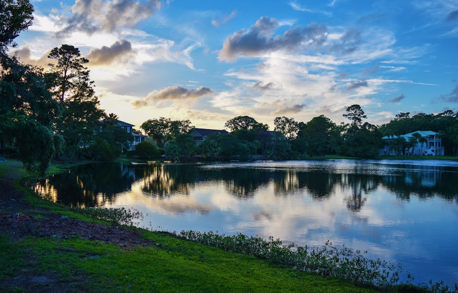 Tranquil lake surrounded by greenery reflecting soft clouds