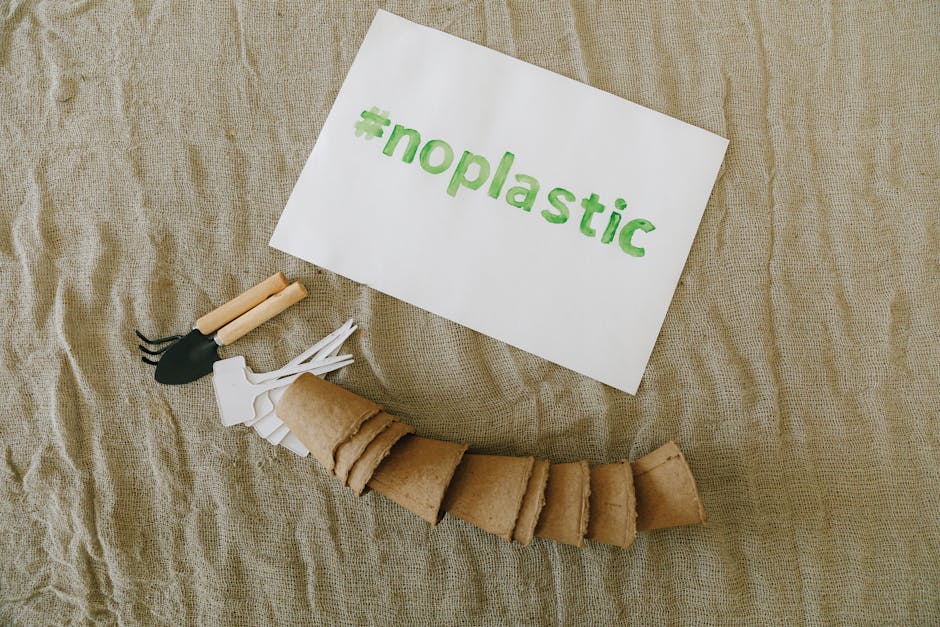 Eco-friendly packaging materials arranged artistically in soft lighting.