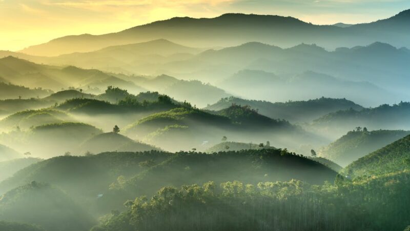 A tranquil mountain landscape with mist and warm light at dawn.