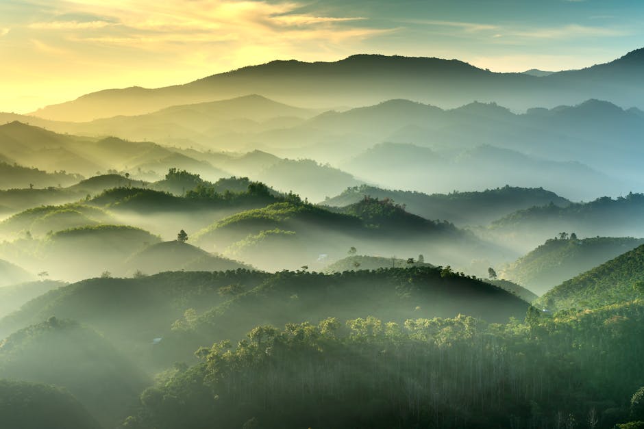 A tranquil mountain landscape with mist and warm light at dawn.