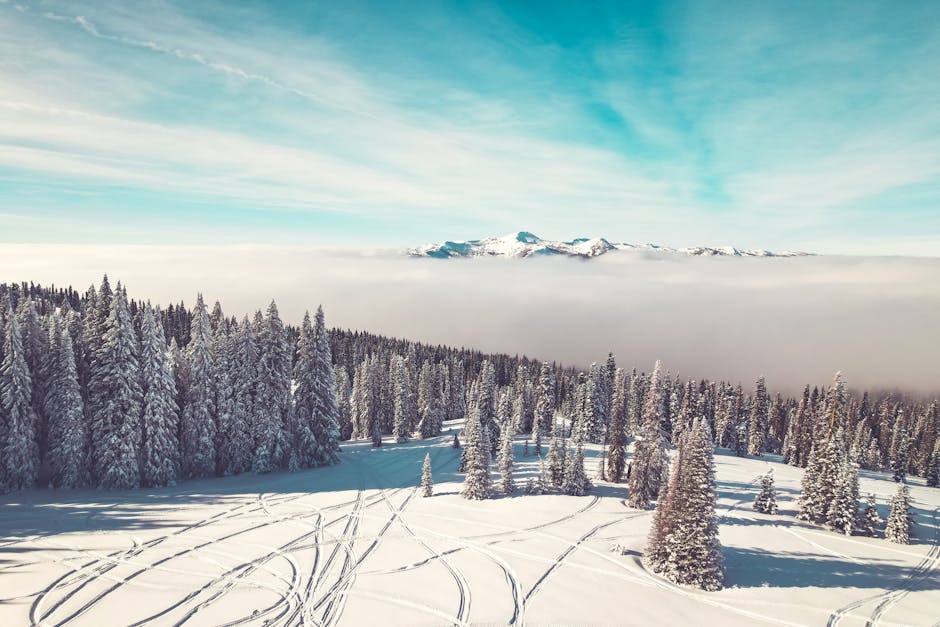 A snowy mountain landscape with ski tracks and pine trees