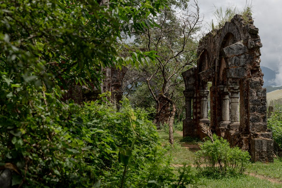 Ancient ruins surrounded by lush greenery and soft sunlight.