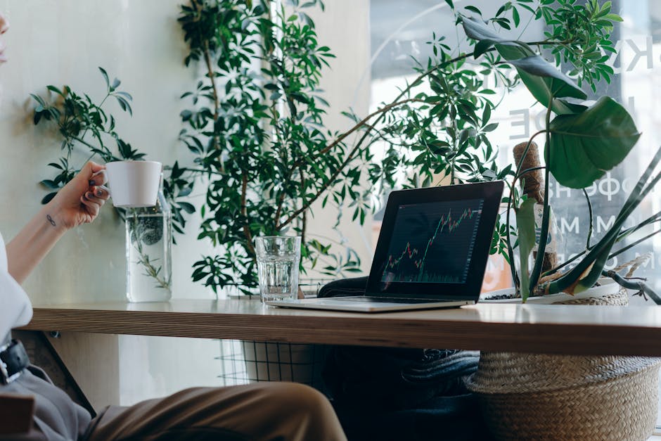 A wooden desk with a laptop and a potted plant in natural light.