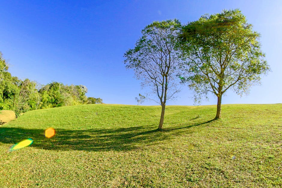 Lush green ridge landscape under a clear blue sky.